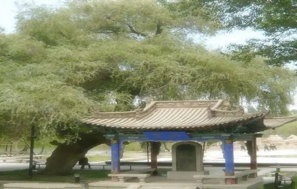 微信图片_20220830152827.jpg