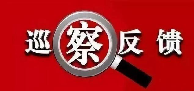 五届beat365下载地址_365bet备用网_365彩票手机app下载委第二轮巡察各巡察组向被巡察单位反馈巡察情况
